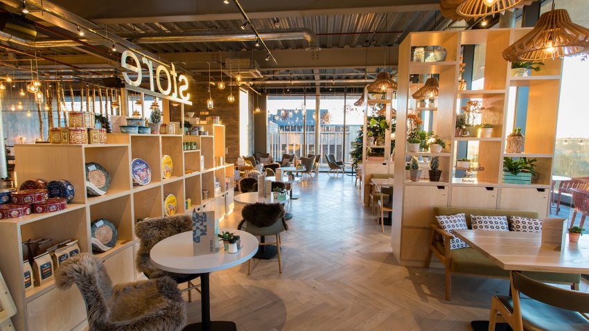 Grapes - Kupp Oxford