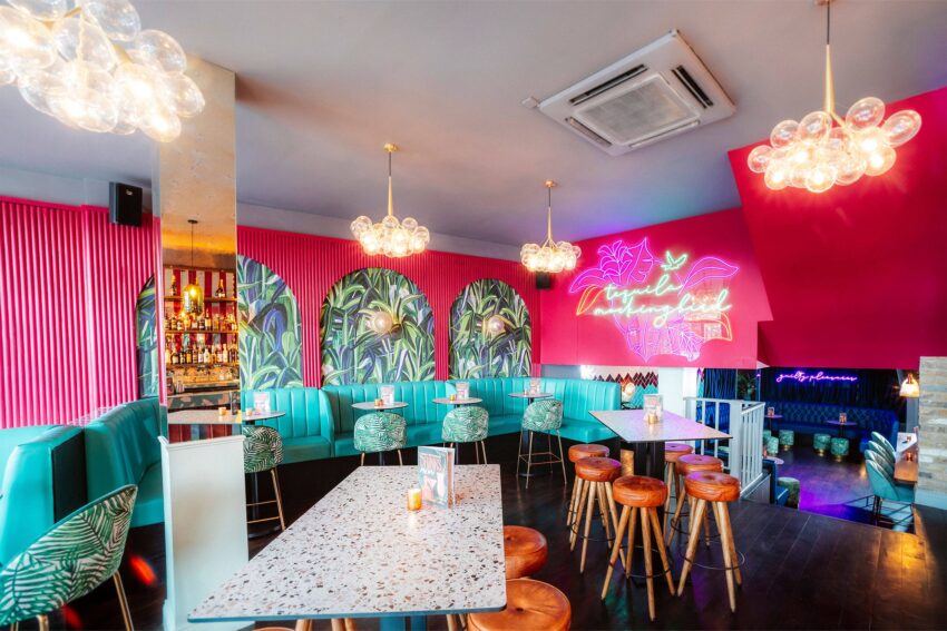 Grapes Tequila Mockingbird