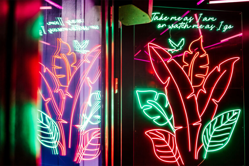 Grapes Tequila Mockingbird